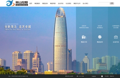 山東**控股有限公司