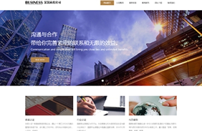 7233商務(wù)公司網(wǎng)站模板