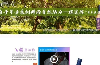 山東******生物技術(shù)有限公司網(wǎng)站建設