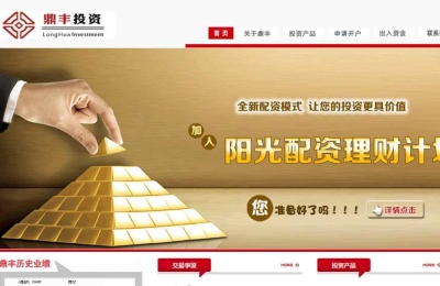鼎豐投資