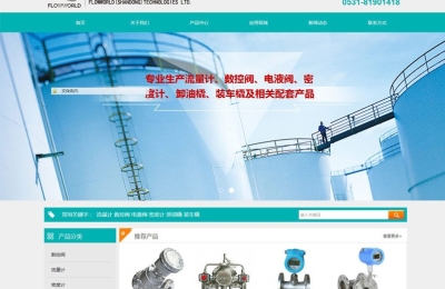 山東富迪石化設(shè)備有限公司網(wǎng)站建設(shè)