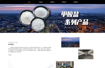 山東**化學(xué)有限公司網(wǎng)站制作