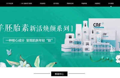 鳳儀堂網(wǎng)站建設