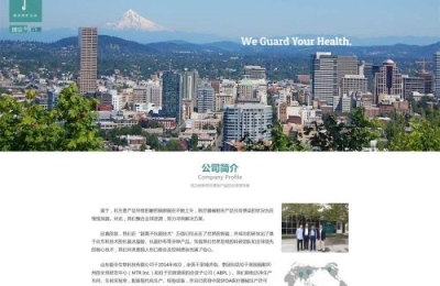 山東銀******技有限公司